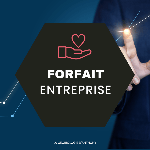 FORFAIT ENTREPRISE GEOBIOLOGIE